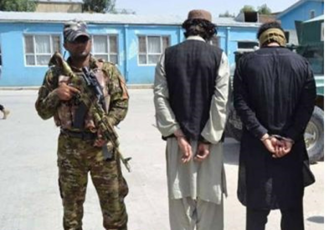 مسئول جلب و جذب داعش  در غزنی بازداشت شد